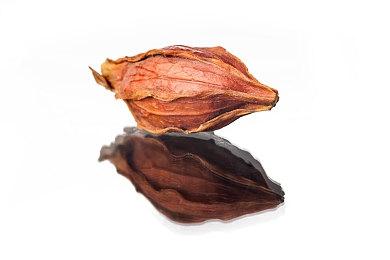 Guerrilla Collective第二日汇总 多款精品独游亮相